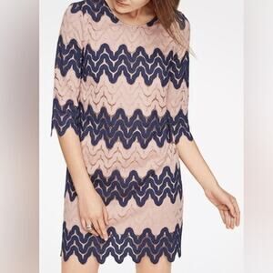 BCBG Max Azria Chevron Lace Overlay Dress Size Meduim Pink & Blue 3/4 Sleeve NWT